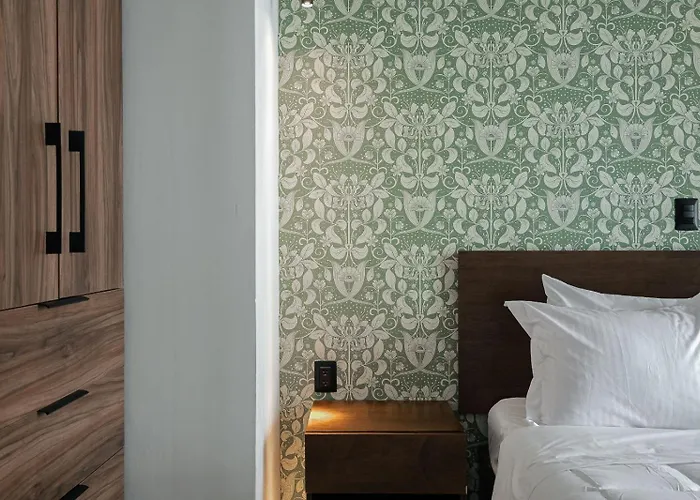 Botanic Loft Stylish & Cozy Retreat W Kitchen & Private Bath * México DF